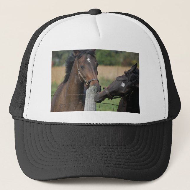 Casquette 2 chevaux mâchant un poteau de clôture (Devant)