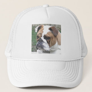 Casquette 3-29-06 009, bouledogue