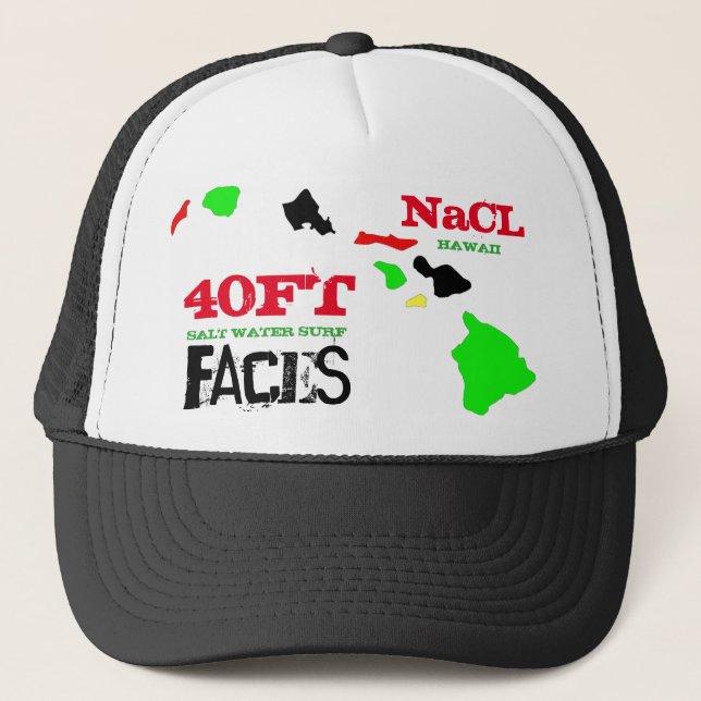 Casquette 40 PI VISAGES NaCL SURF HAWAII (Devant)