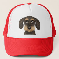 À poils durs Dachshund | Teckel de chien de carica
