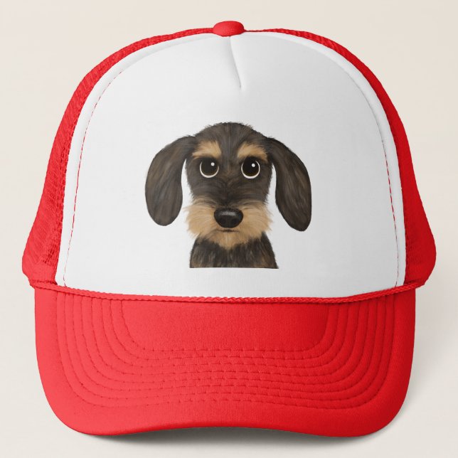 Casquette À poils durs Dachshund | Teckel de chien de carica (Devant)