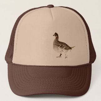 Casquette à queue ardue