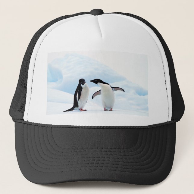 Casquette Adelie Penguins (Devant)