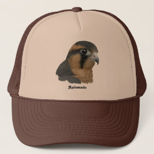 Casquette ADiplomado