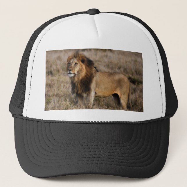 Casquette African Lion (Devant)