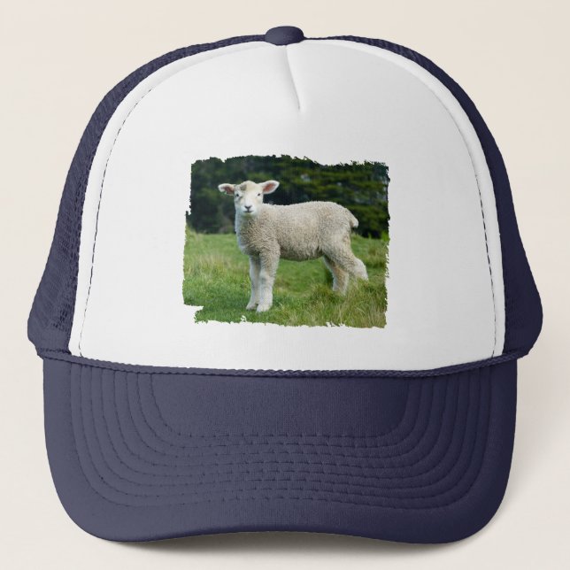 Casquette Agneau à mouton mou boueux dans une prairie (Devant)