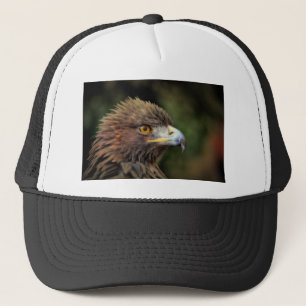 Casquette aigle royal