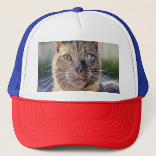 Casquette Ajouter une Personnaliser photo de chat