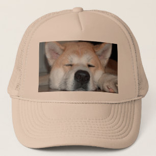 Casquette akita dormir.png