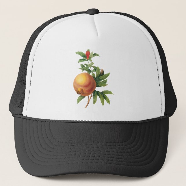 Casquette Aliments anciens Fruit, Grenade par Redoute (Devant)