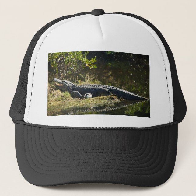 Casquette Alligator Américain se reposant le long d'une zone (Devant)