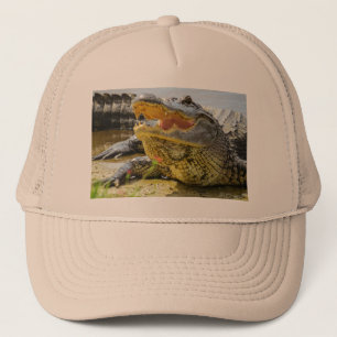 Casquette Alligator. Face to face