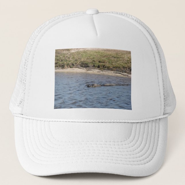 Casquette Alligator nageant dans les eaux de Floride (Devant)