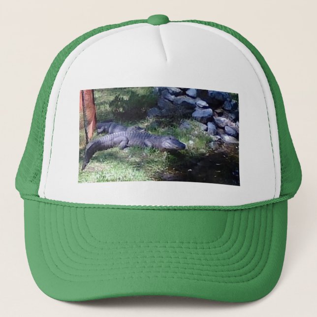Casquette Alligator ! ! Zoo Animaux design (Devant)
