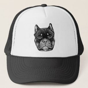 casquette américain de baseball des Bully Dog