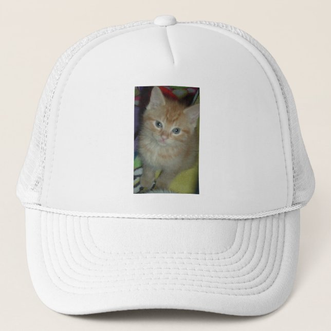 Casquette Amour de tabby (Devant)
