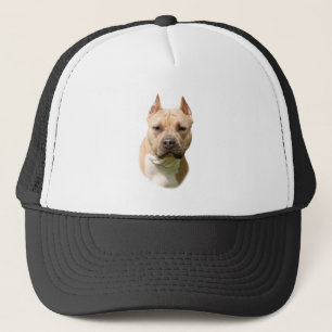 Casquette Amstaff