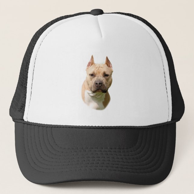 Casquette Amstaff (Devant)