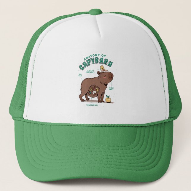 Casquette Anatomie drôle du capybara (Devant)