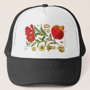 Casquette Ancienne illustration de grenade