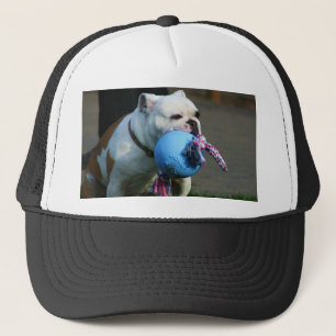 Casquette anglais de bouledogue