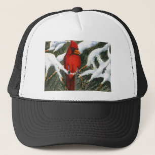Casquette animal