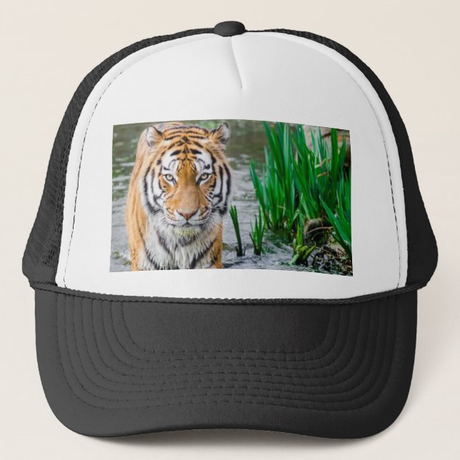 Casquette Animal, casquette, à vendre ! (Devant)