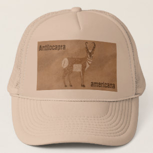 Casquette Antelope du sud-ouest de Pronghorn