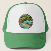 Aquarelle du parc national des Everglades