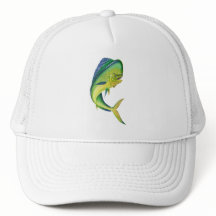 aquariums des principal d'aquarium de mahi de mahi