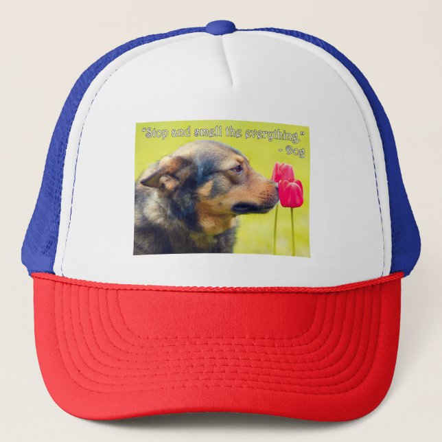 Casquette Arrêtez-vous et sentez tout (Devant)