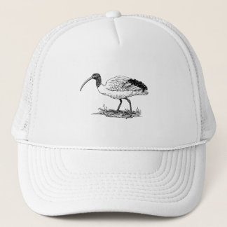 Casquette Art d'oiseau d'IBIS