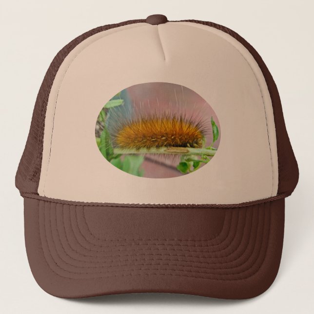 Casquette Articles jaunes de mite de tigre de Virginian de (Devant)