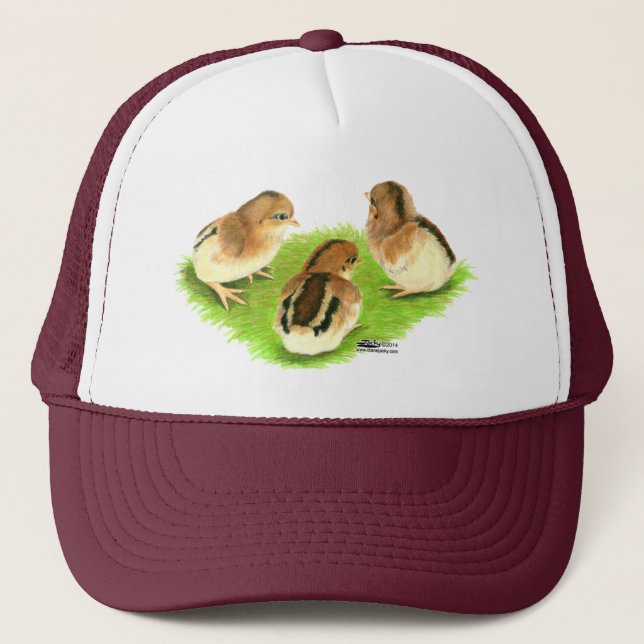 Casquette Aseel Black Red Chicks (Devant)
