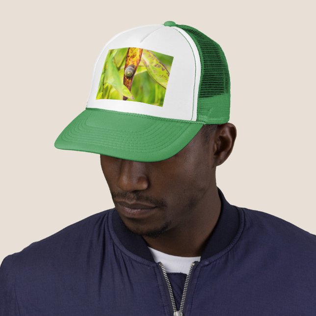 Casquette attachement calme (En situation)
