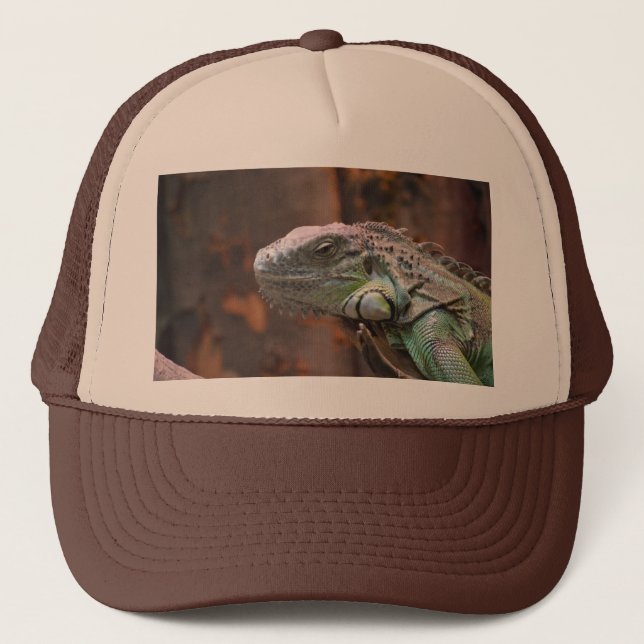 Casquette au lézard Iguana coloré (Devant)