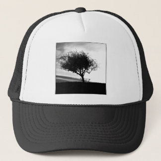 Casquette Aubépine de Glastonbury. Arbre. Noir et blanc.
