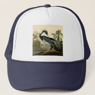 Casquette Audubon Héron de Louisiane Oiseaux Amérique Art