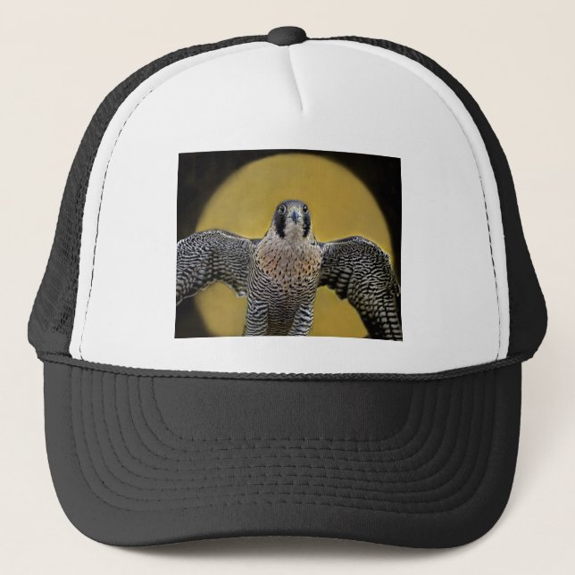 Casquette Augmentation de lune de faucon pérégrin (Devant)