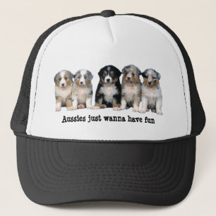 Casquette australien de chiots de berger