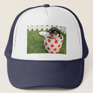 Casquette avec petit chiot mignon