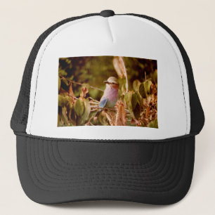 Casquette Aviaire