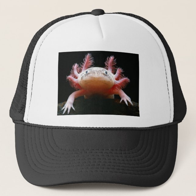 Casquette Axolotl Axolotl.png (Devant)