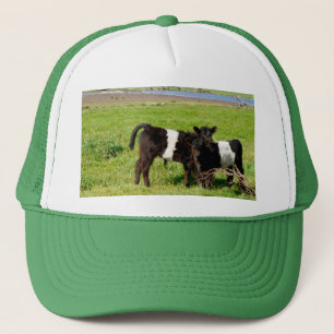 Casquette Baby Belted Galloway Calves