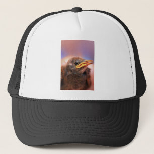 Casquette Baby Bird