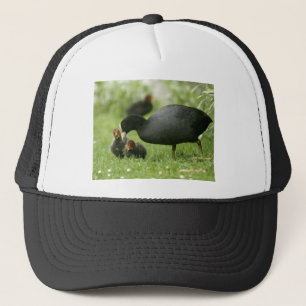 Casquette Baby Moorhens