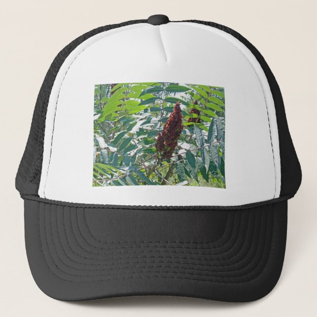 Casquette Baies de sumac glabre Articles correspondants (Devant)