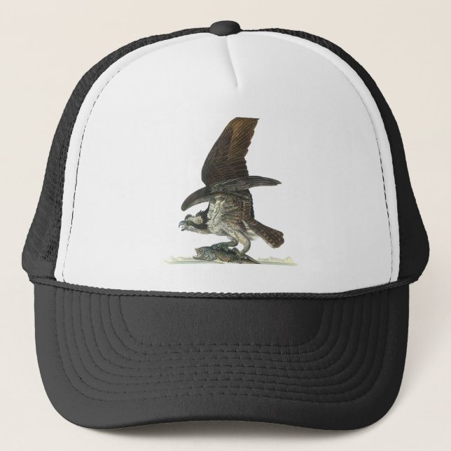 Casquette Balbuzard, John Audubon (Devant)
