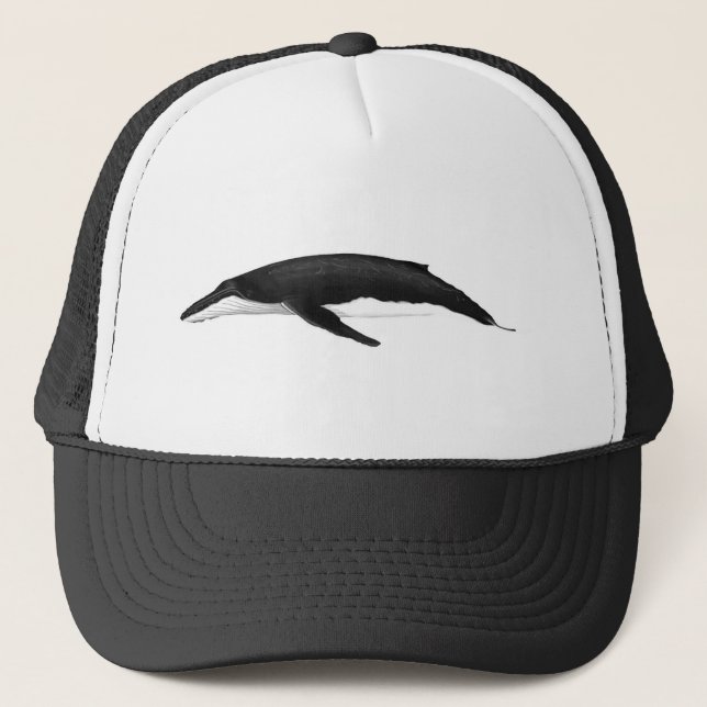 CASQUETTE BALEINE À HUMPBACK (Devant)