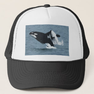 Casquette Baleine d'Orka